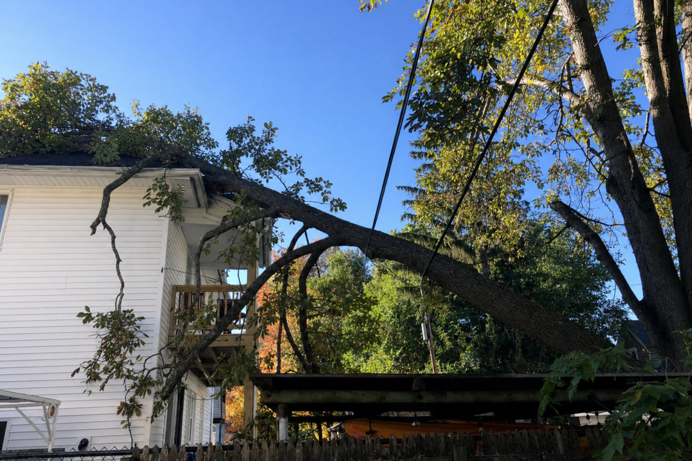 Emergency tree service in Camarillo, CA
